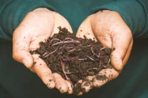 Le compost maison, l'allié indispensable pour enrichir votre terre de potager au printemps